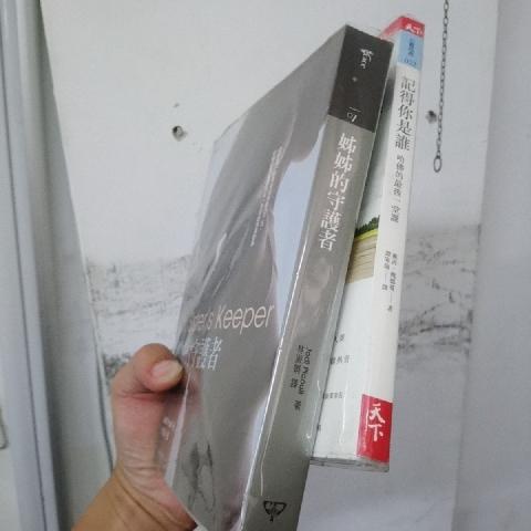姊姊的守護者書 - EcoLoop Reuse 示範店 二手商品