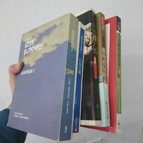 追風箏的孩子 書 - EcoLoop Reuse 示範店 二手商品