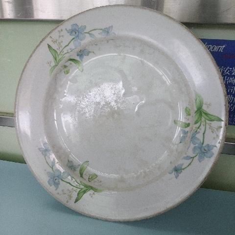 大陶瓷盤 - EcoLoop Reuse 示範店 二手商品