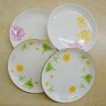 小盤子(單售) - EcoLoop Reuse 示範店 二手商品