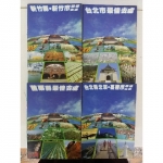 旅遊指南 - EcoLoop Reuse 示範店 二手商品