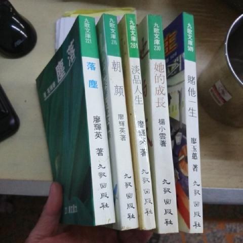 廖輝英 書 - EcoLoop Reuse 示範店 二手商品