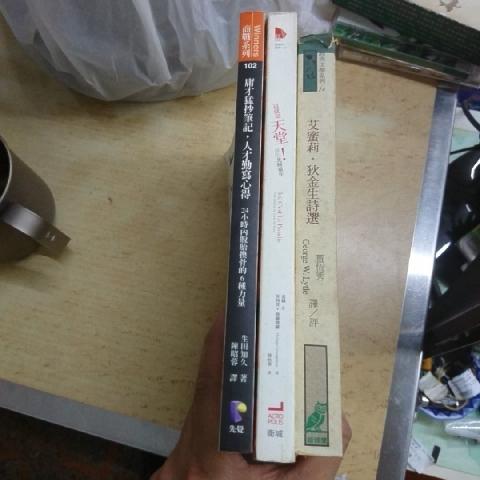這就是天堂 書 - EcoLoop Reuse 示範店 二手商品