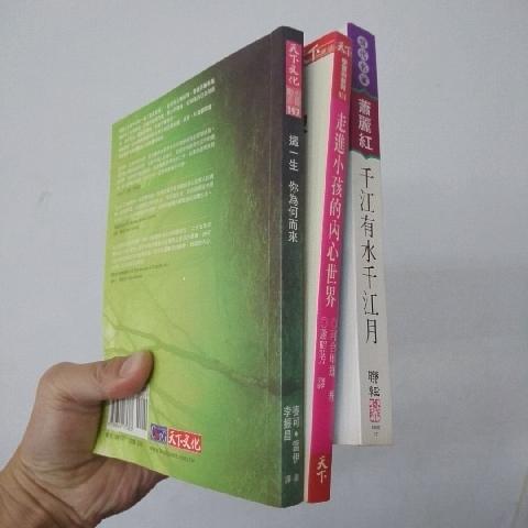 千江有水 書 - EcoLoop Reuse 示範店 二手商品