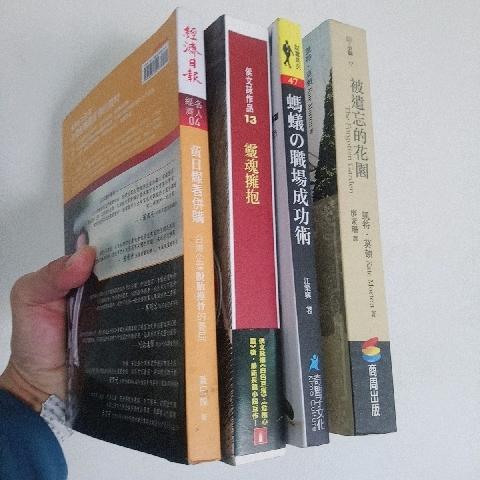 靈魂擁抱書 - EcoLoop Reuse 示範店 二手商品