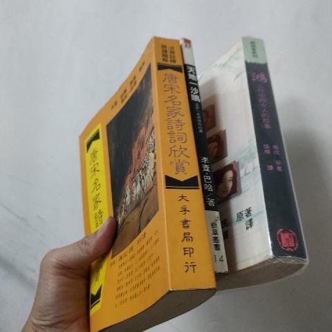 詩詞書 - EcoLoop Reuse 示範店 二手商品