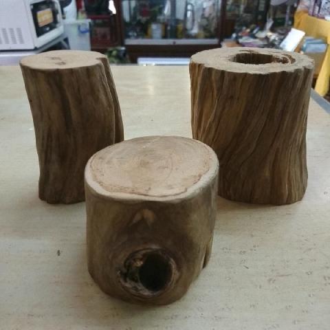 黃檜(單售) - EcoLoop Reuse 示範店 二手商品