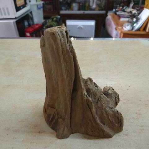 紅檜 - EcoLoop Reuse 示範店 二手商品