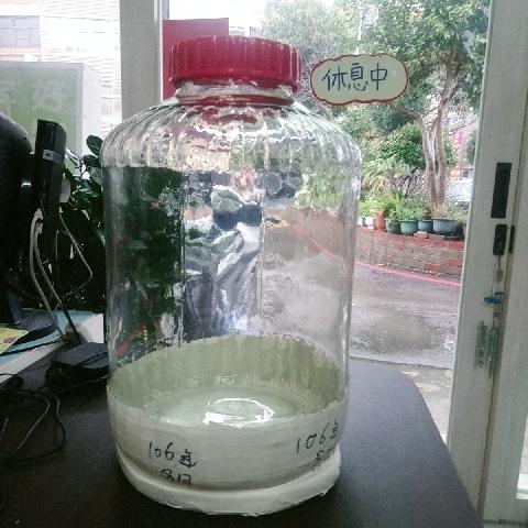 超大玻璃罐 - EcoLoop Reuse 示範店 二手商品